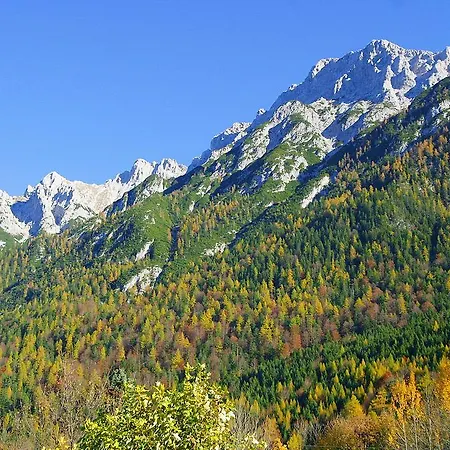 Merzer * Mittenwald